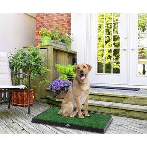 Pet Grass The Ultimate Solution for a Safe and Hygienic Use